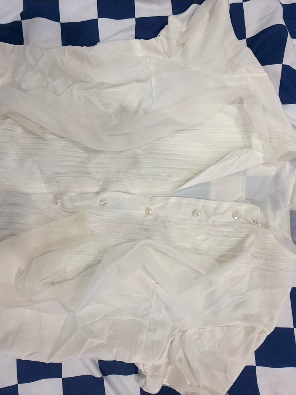 A Penny Potter Original vintage Elegant White Button-Front Sheer Blouse